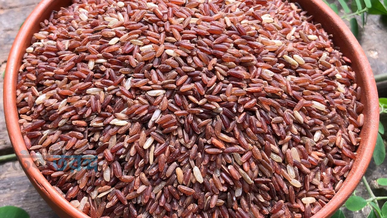 যুদ্ধ শুরুর আগেই আমরা প্রস্তুত ছিলাম: কাজী রোকেয়া সুলতানা রাকা