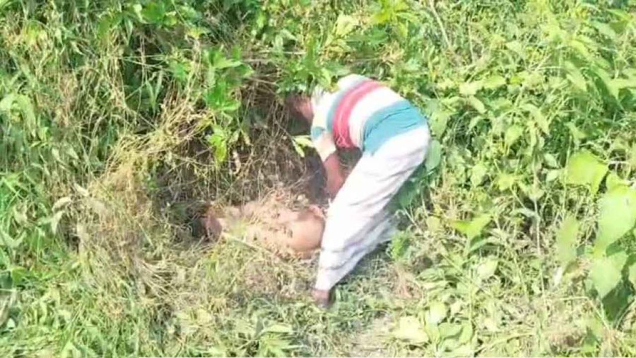 রাস্তার পাশ থেকে বস্তাবন্দি রিকশাচালকের মরদেহ উদ্ধার