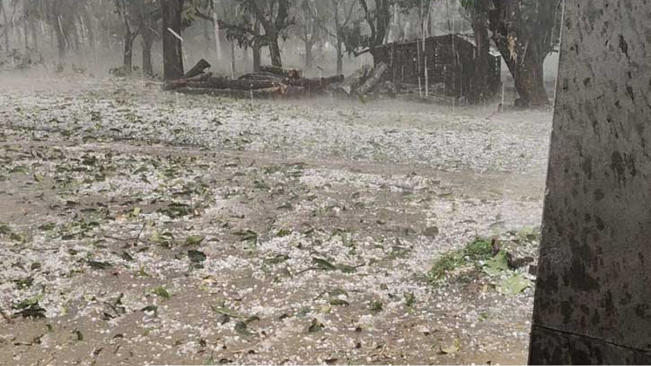 চাঁপাইনবাবগঞ্জে শিলাবৃষ্টিতে আমের ক্ষতি