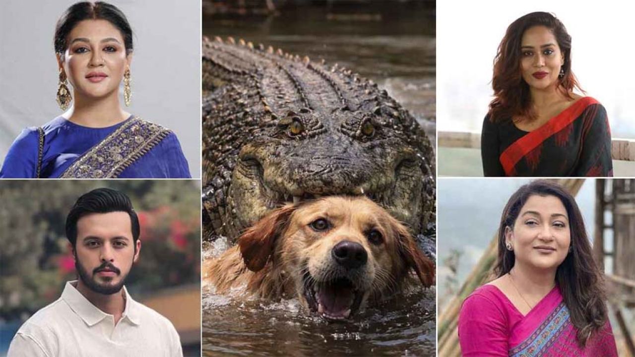 ‘এ দেশে মানুষের চেয়ে অমানুষ বেশি’—বাগেরহাটের ঘটনায় ক্ষোভ তারকাদের