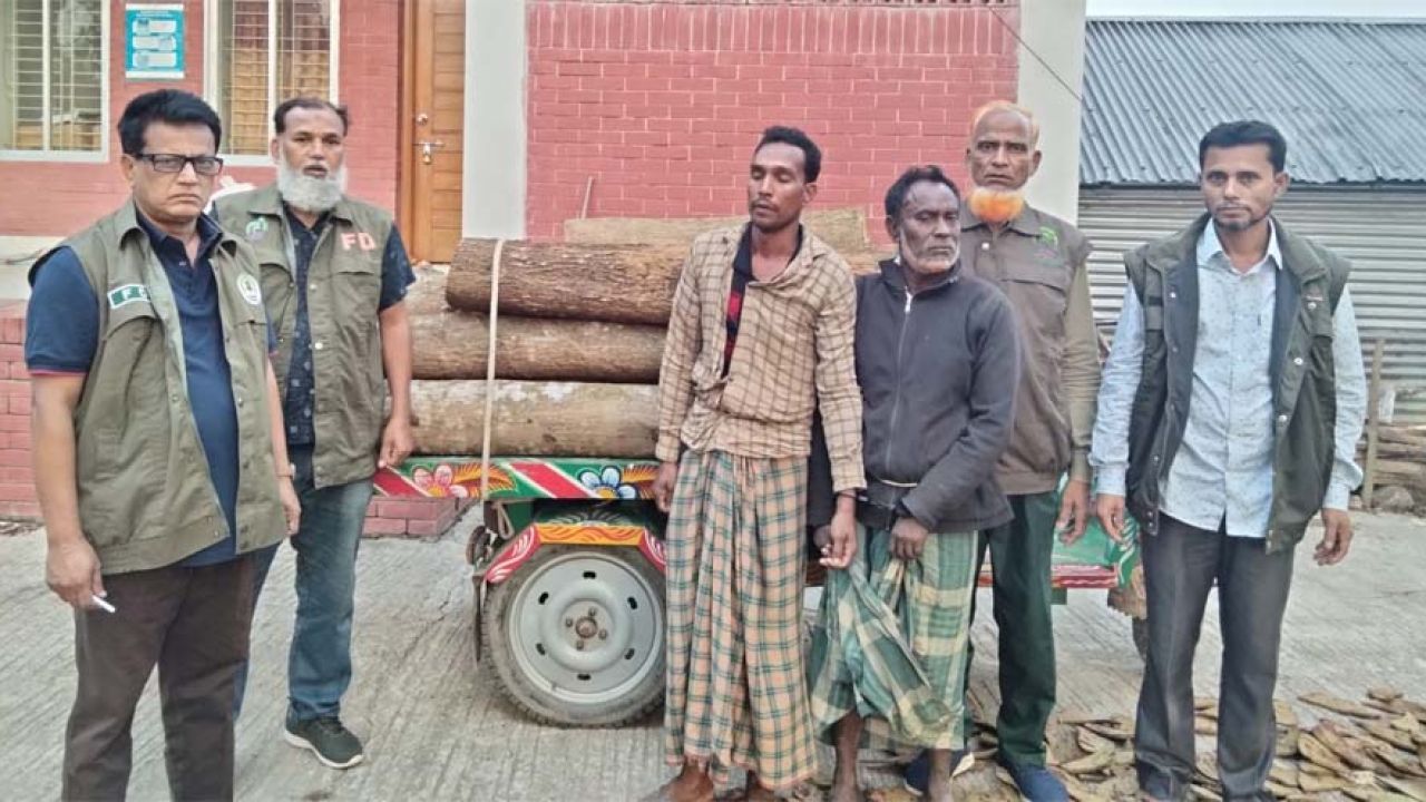 গারো পাহাড়ের বনাঞ্চলে গাছ কাটার সময় দুই কারবারি গ্রেফতার