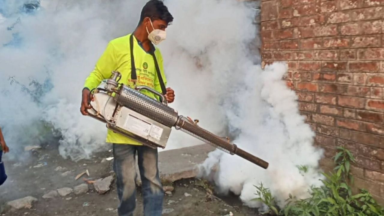 মশার দাপটে অসহায় ময়মনসিংহ নগরবাসী