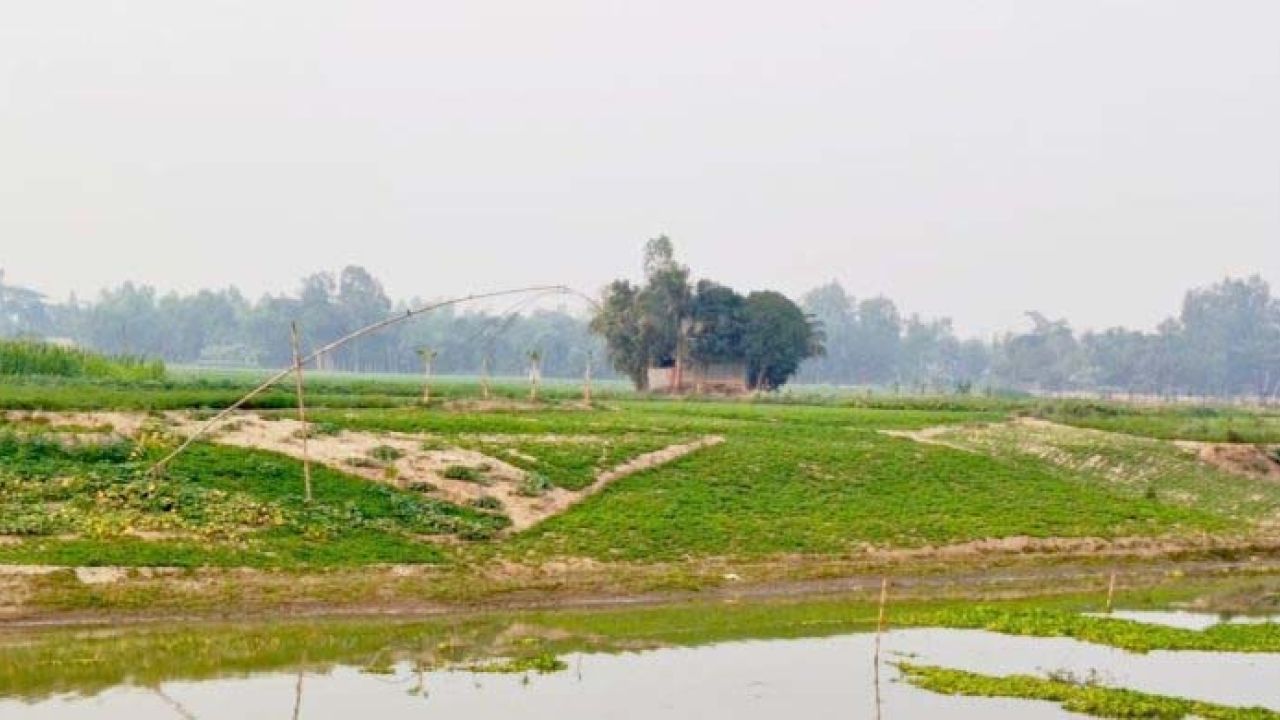 ভোগাই  নদীর জেগে ওঠা চরে সবুজ স্বপ্ন বুনছেন কৃষকরা
