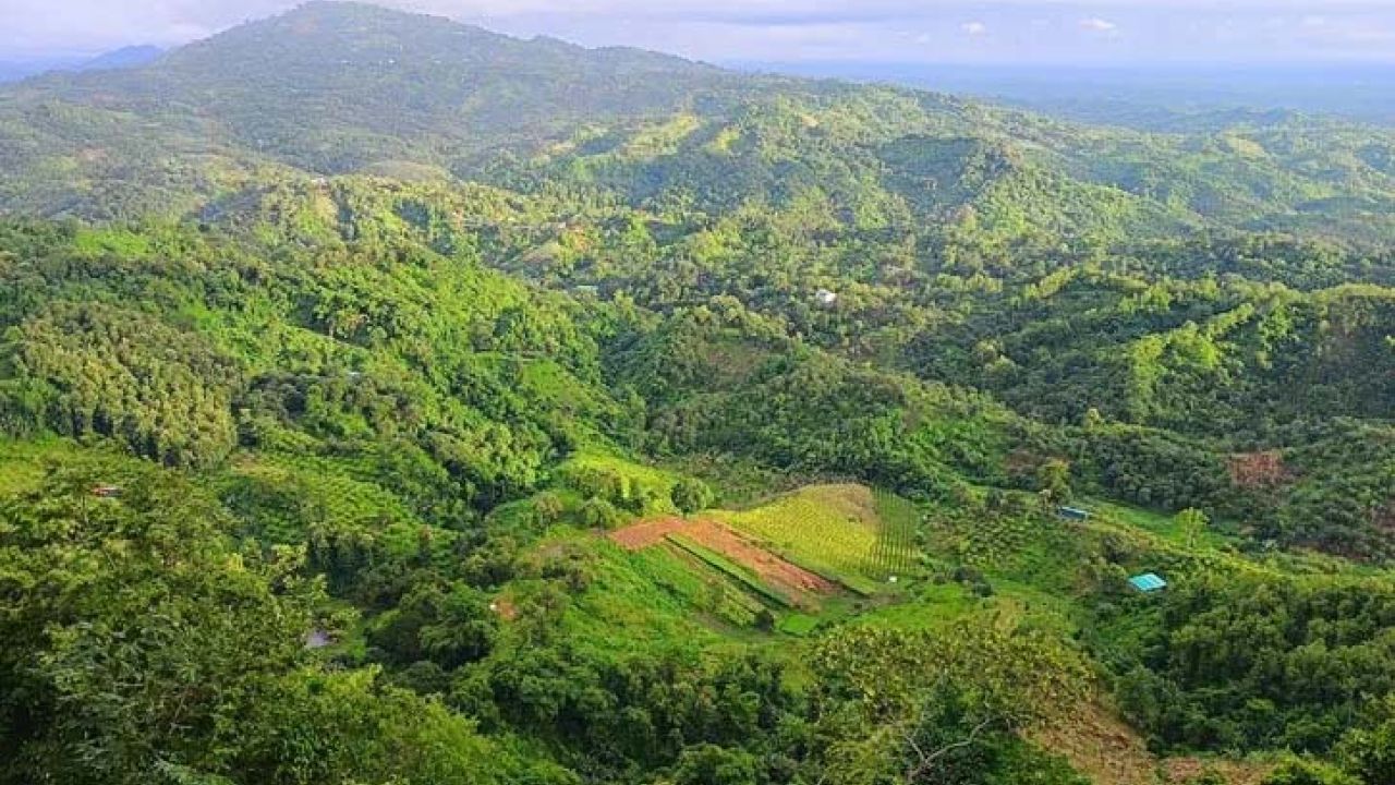 বান্দরবানে ৬ রাবার শ্রমিককে অপহরণ, ২০ লাখ টাকা মুক্তিপণ দাবি