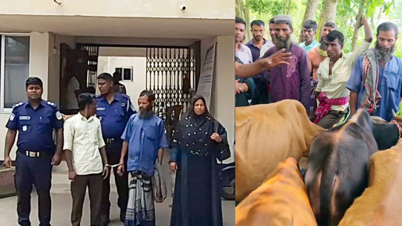 শেরপুরে আন্তঃজেলা গরু চোর চক্রের ৩ সদস্য গ্রেফতার