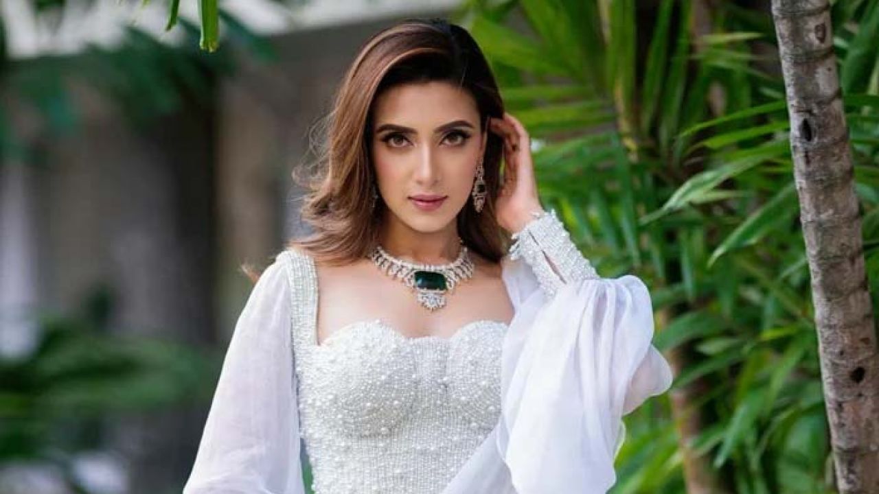 কখনো হাল ছাড়িনি : মিম