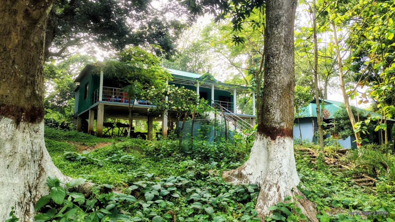 শেরপুর বন বিভাগের বালিজুরি রেঞ্জ অফিস চত্বর বিলুপ্তপ্রায় পাখ-পাখালির আবাসস্থল