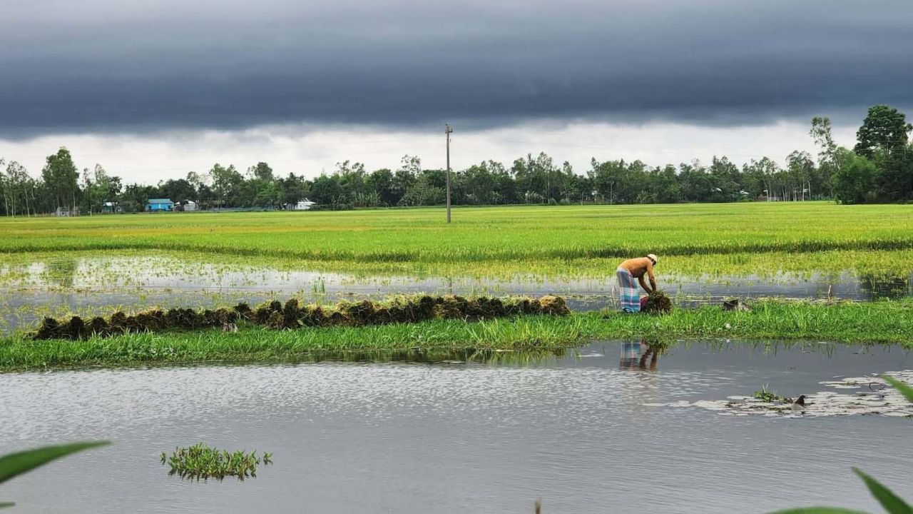 ঝড়-বৃষ্টি ও বজ্রপাতে শেরপুরে বিদ্যুৎ বিপর্যয়