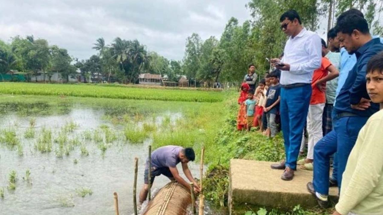ঝিনাইগাতীতে ধান ক্ষেতের জলাবদ্ধতা নিরসন করলেন ইউএনও
