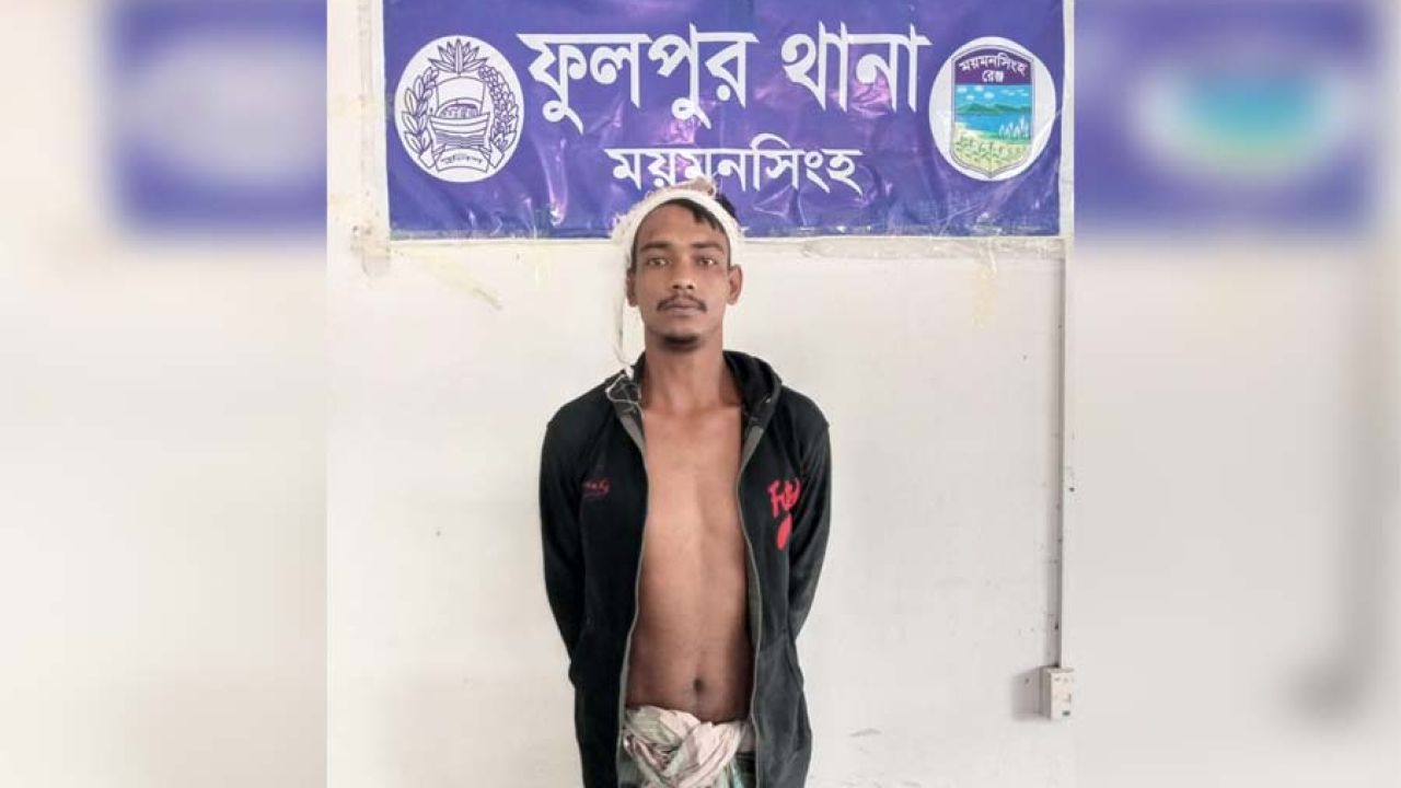 ফুলপুরে জমি লিখে না দেওয়ায় দাদিকে কুপিয়ে হত্যা, যুবক গ্রেপ্তার