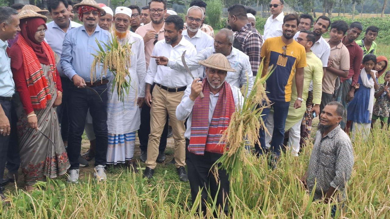 ময়মনসিংহে বিনার বিনাধান ২৫ কেটে মাঠ দিবস ও কৃষক কর্মশালা উদ্বোধন