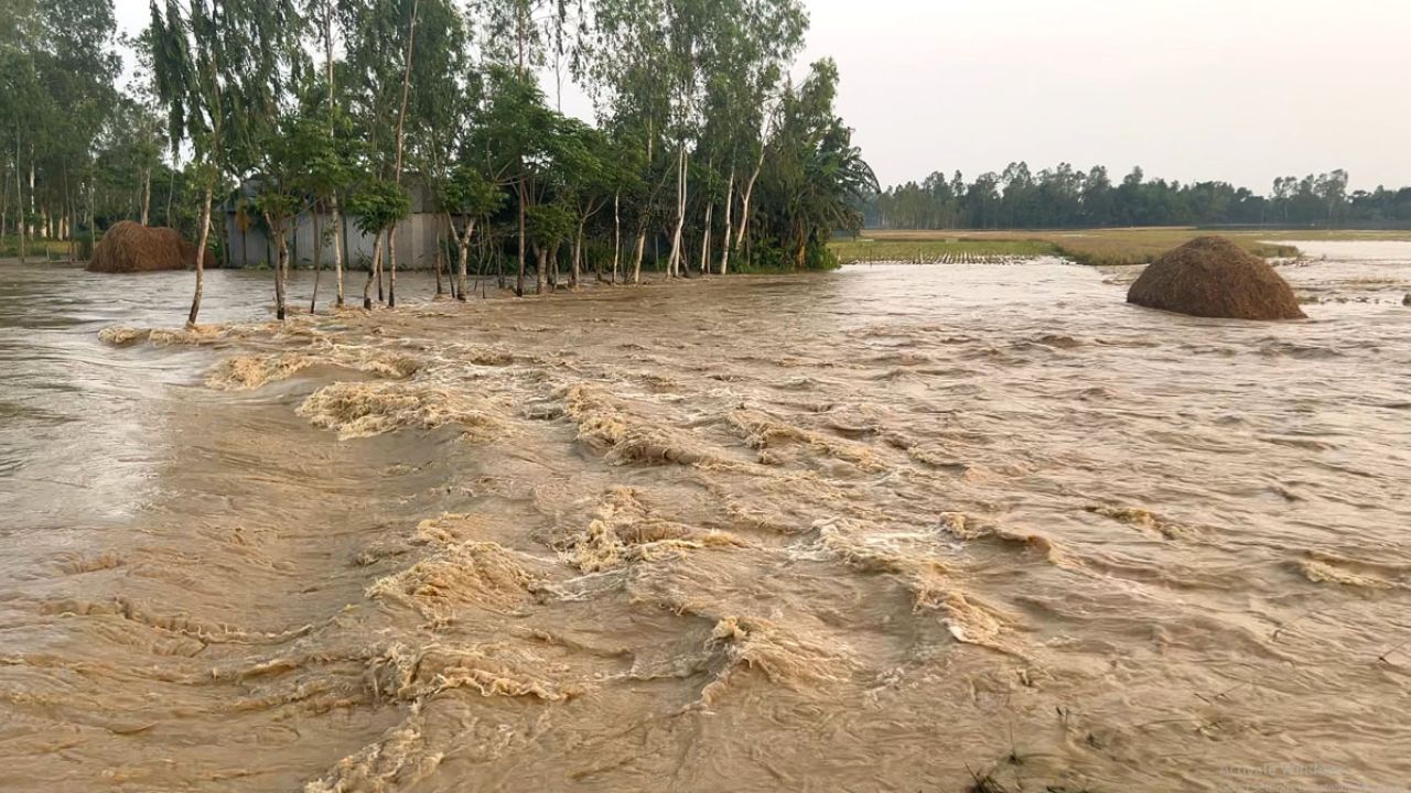 নালিতাবাড়ীর চেল্লাখালী নদীর বাঁধ ভেঙে নিম্নাঞ্চলে ঢুকছে পাহাড়ি ঢলের পানি