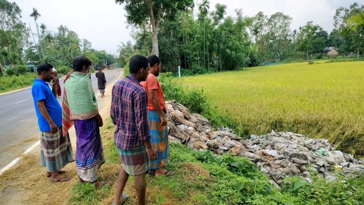 নালিতাবাড়ীতে ধানখেতে ব্রয়লার মুরগির পচা বর্জ্য ফেলেছে দুর্বৃত্তরা