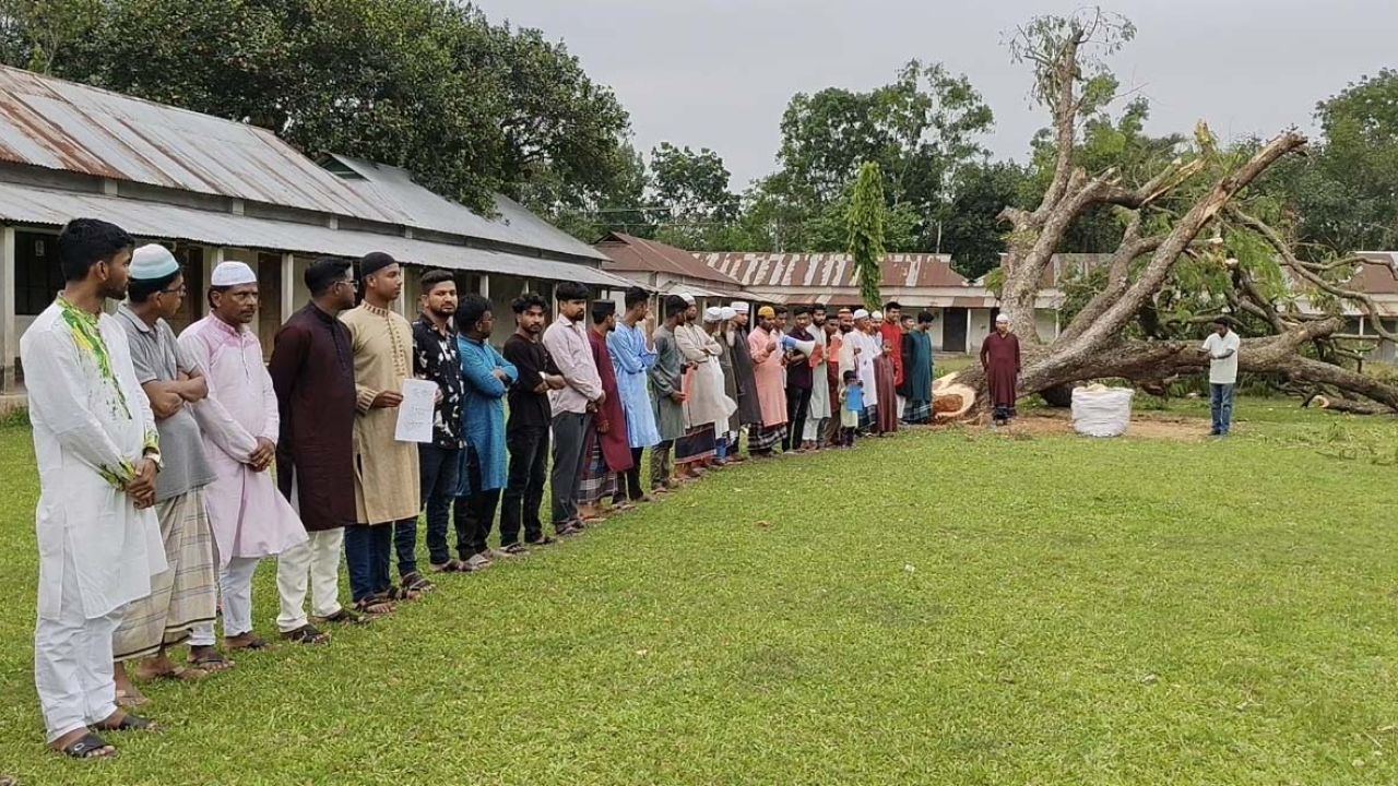ভালুকায় শিক্ষা প্রতিষ্ঠানের গাছ কাটার প্রতিবাদে মানববন্ধন