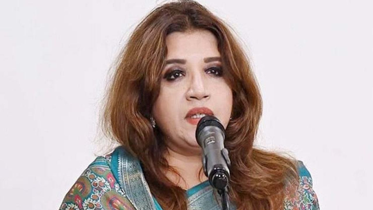 পুশইন ঠেকাতে ভারতকে ১২-১৩টি চিঠি দিয়েছে সরকার : পররাষ্ট্র প্রতিমন্ত্রী