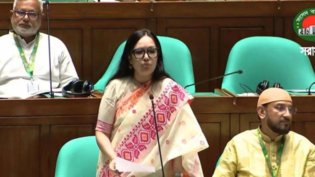 দেশের আইন-শৃঙ্খলা পরিস্থিতি এখন নাজুক অবস্থায় রয়েছে: রুমিন ফারহানা