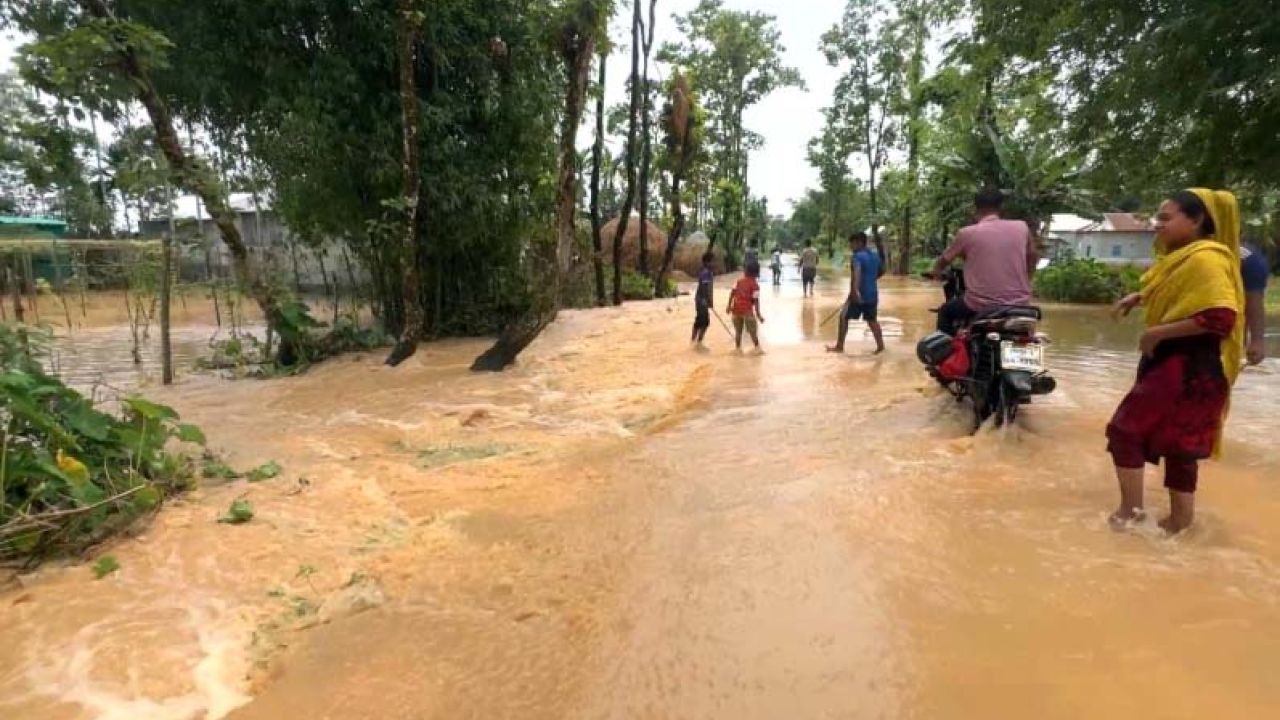 উজান থেকে নেমে আসা পাহাড়ি ঢলে প্লাবিত শেরপুরের সীমান্তবর্তী এলাকা