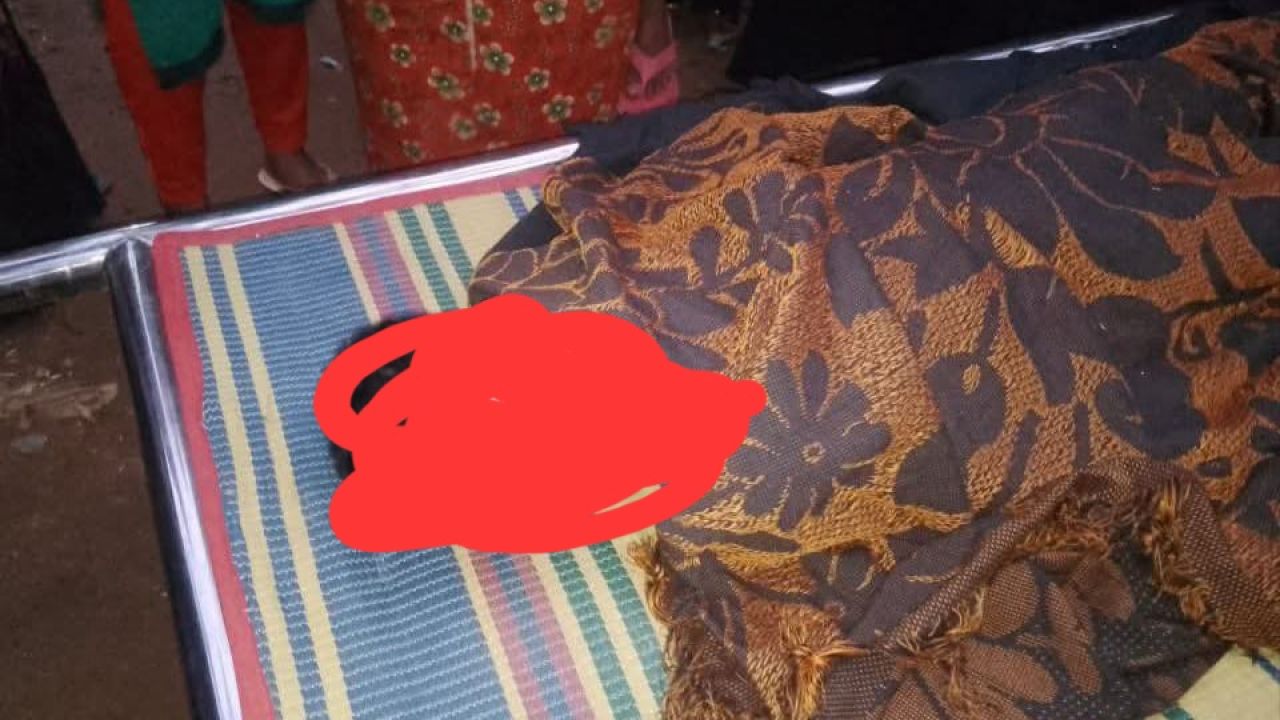 নালিতাবাড়ীতে সাপের কামড়ে স্কুলছাত্র নিহত