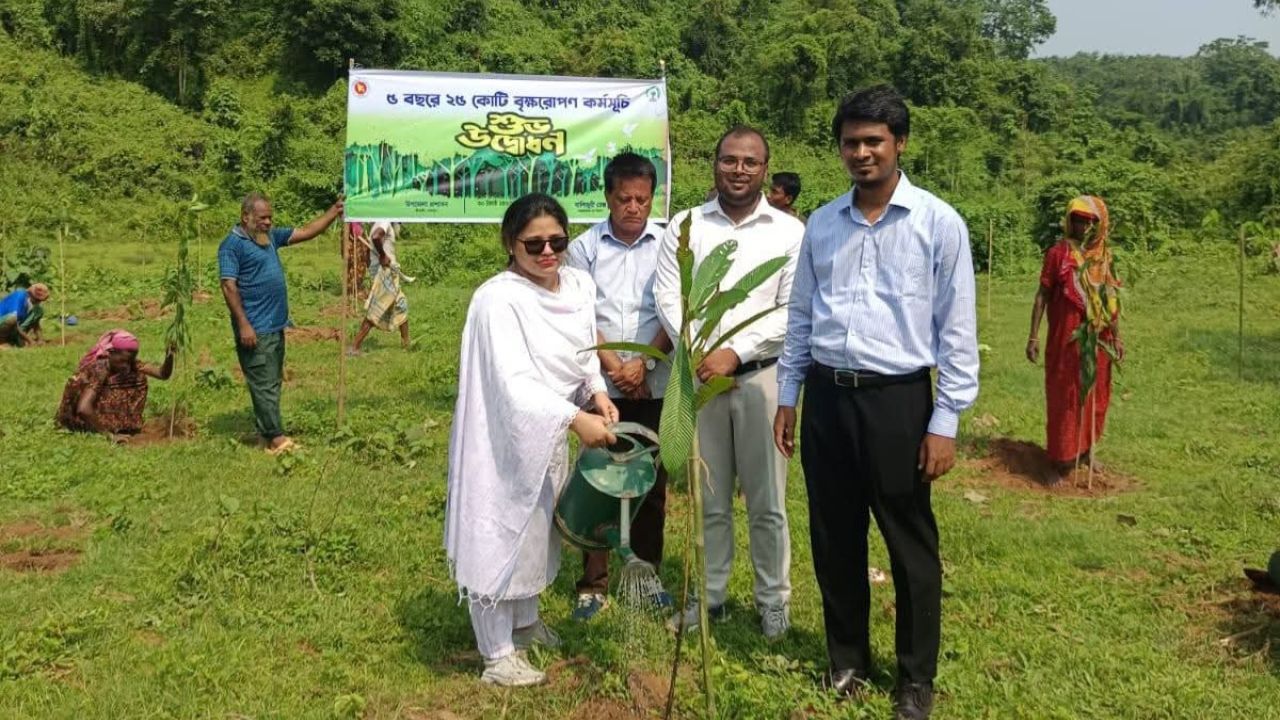 গারো পাহাড়ে ৪০ প্রজাতির ৩ হাজার দেশীয় চারা রোপণ