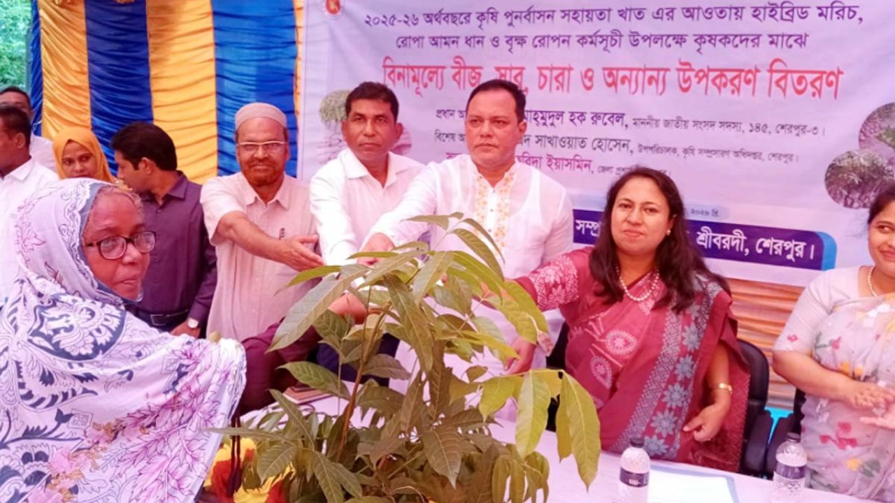 দেশের কৃষি উন্নয়নে সর্বোচ্চ গুরুত্ব দিচ্ছে সরকার : রুবেল এমপি