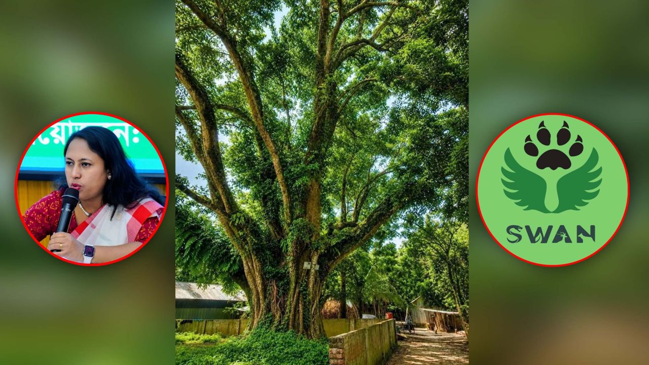 শতবর্ষী বটগাছ রক্ষার দাবি সোয়ানের, জেলা প্রশাসকের উদ্যোগ গ্রহণ 