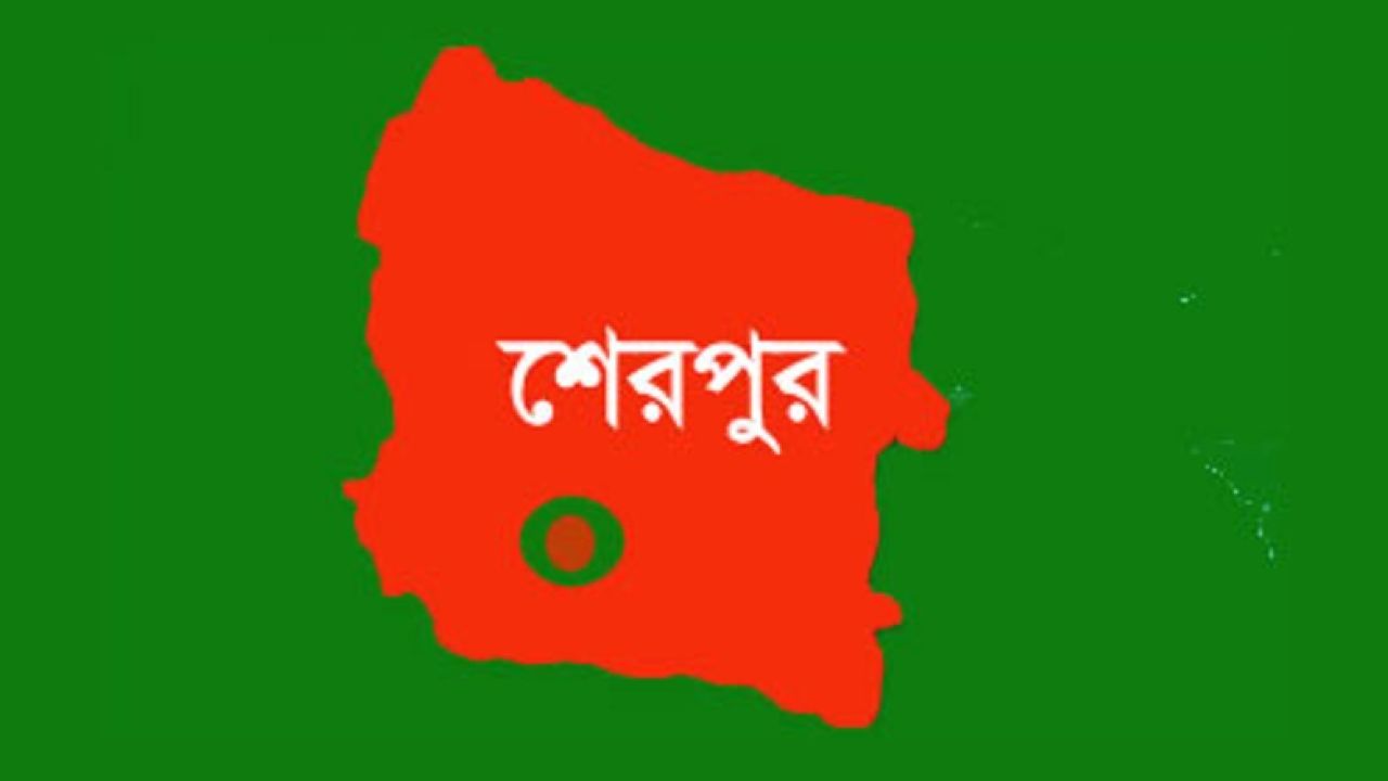 নালিতাবাড়ীতে গলায় বাদাম আটকে কন্যা শিশুর মৃত্যু