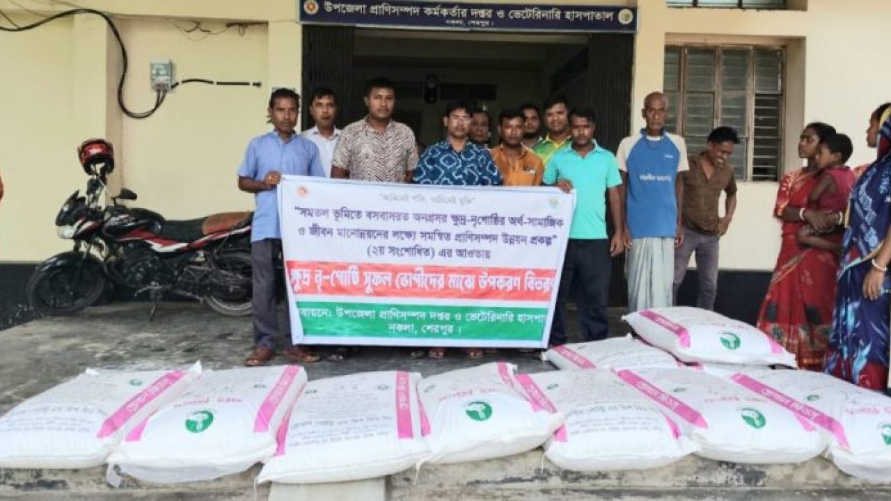 নকলায় ক্ষুদ্র নৃ-জাতিগোষ্ঠীর মাঝে ছাগলের খাদ্য বিতরণ
