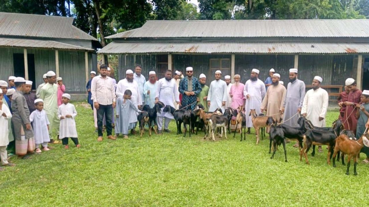 নকলায় ১৯টি মাদরাসা-এতিমখানায় ছাগল উপহার