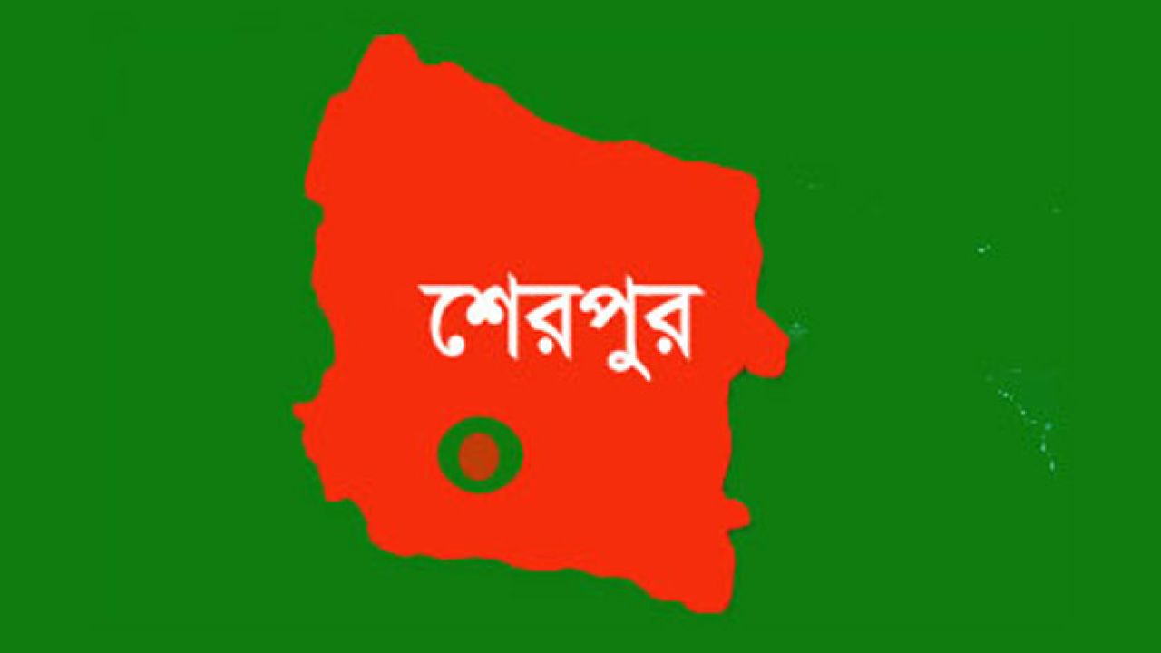 শেরপুরে পিকআপ ভ্যান চাপায় ও ইজিবাইক উল্টে দুইজনের মৃত্যু