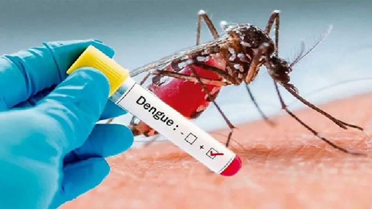 ডেঙ্গুতে একদিনে ৩ জনের মৃত্যু, নতুন রোগী ৪৫৮
