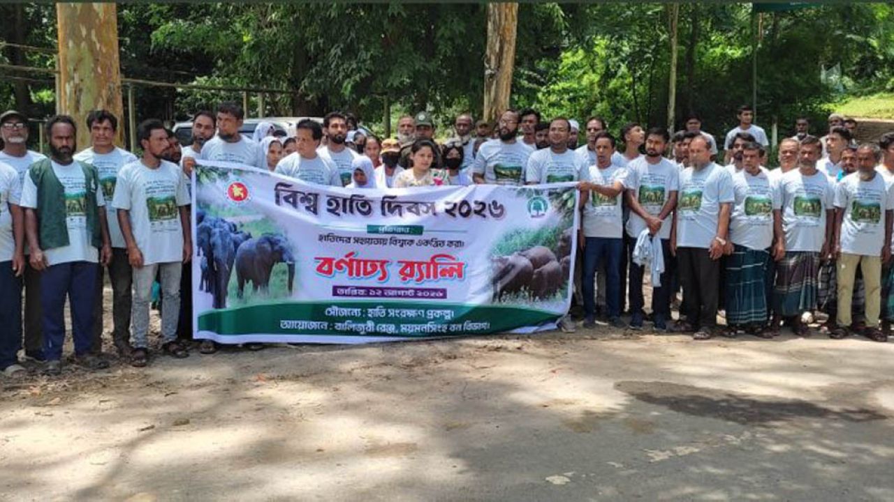 শ্রীবরদীতে নানা কর্মসূচির মধ্য দিয়ে বিশ্ব হাতি দিবস পালিত