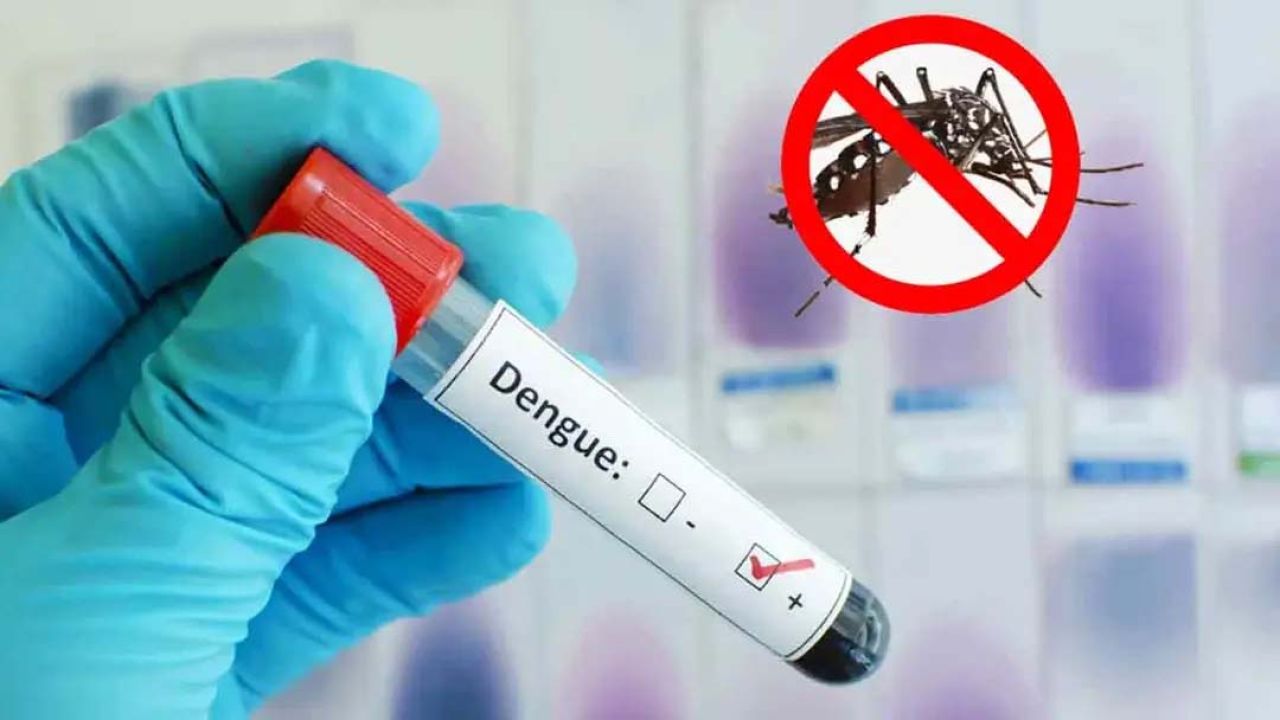 ডেঙ্গুতে একদিনে ৫ জনের মৃত্যু, হাসপাতালে ৮৩৯