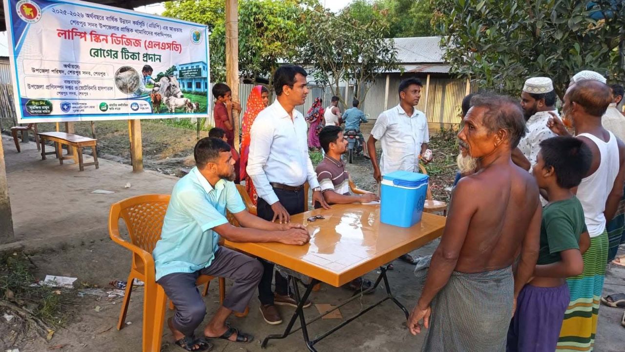 শেরপুরে গবাদি পশুর লাম্পি স্কিন প্রতিরোধে টিকাদান কার্যক্রম অনুষ্ঠিত