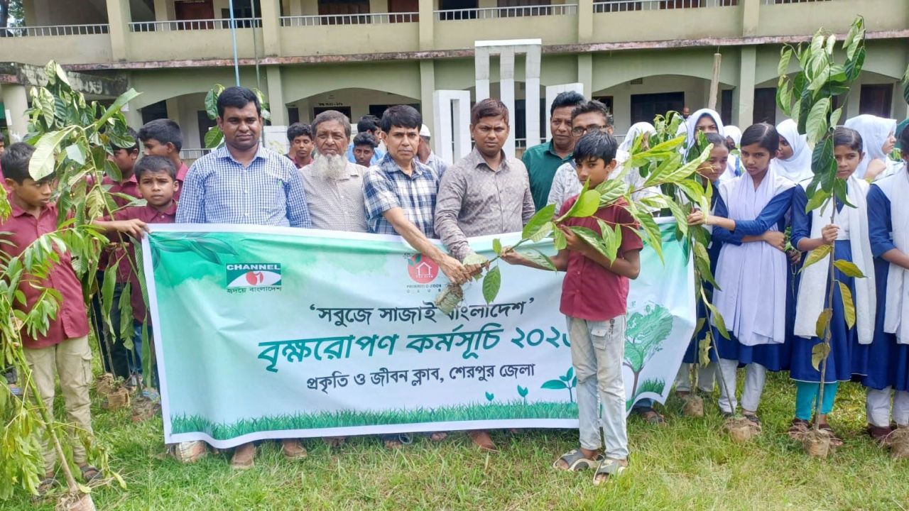 নালিতাবাড়ীতে প্রকৃতি ও জীবন ক্লাবের বৃক্ষরোপন-গাছের চারা বিতরণ