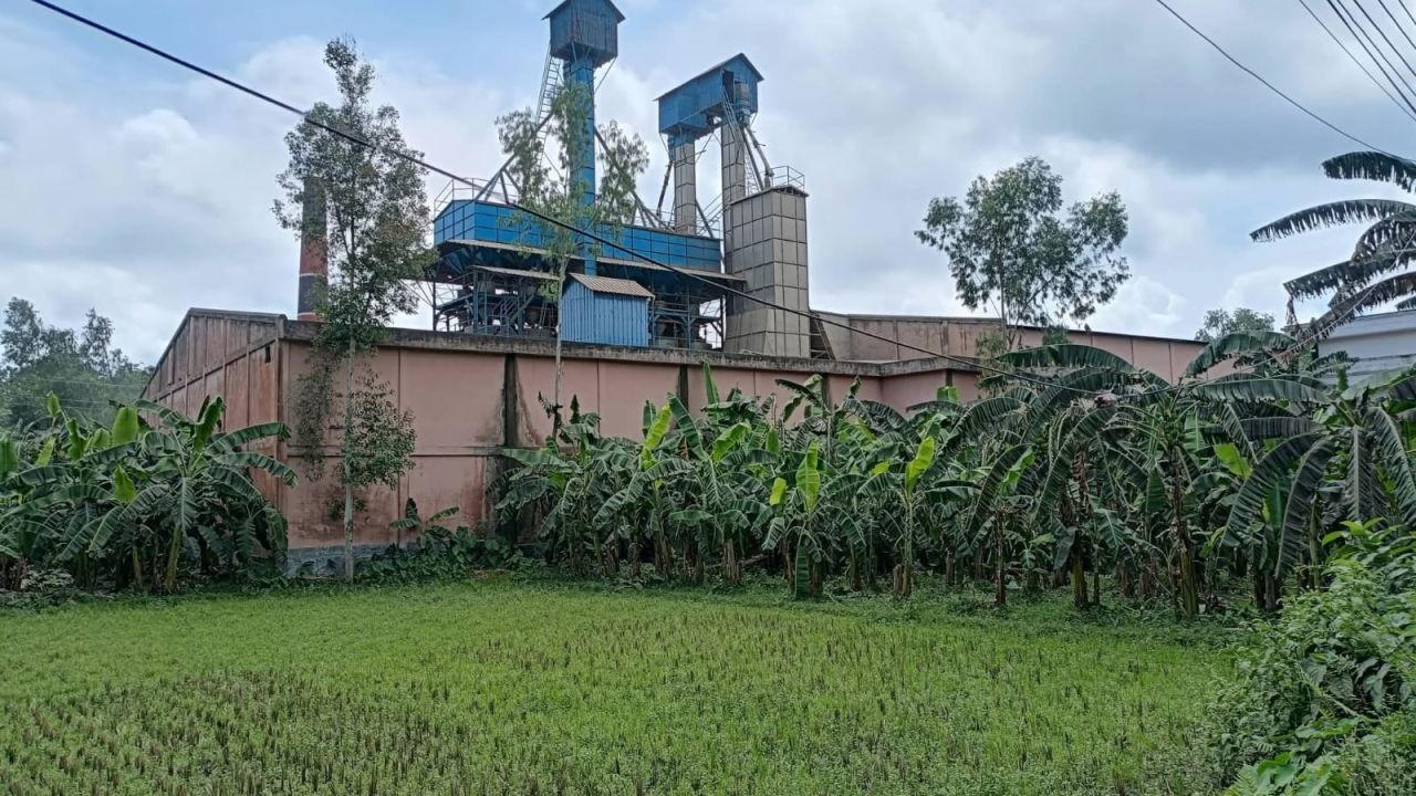 শেরপুরের আখের মামুদ বাজারে রাইস মিলের ছাইয়ে অতিষ্ঠ জনজীবন