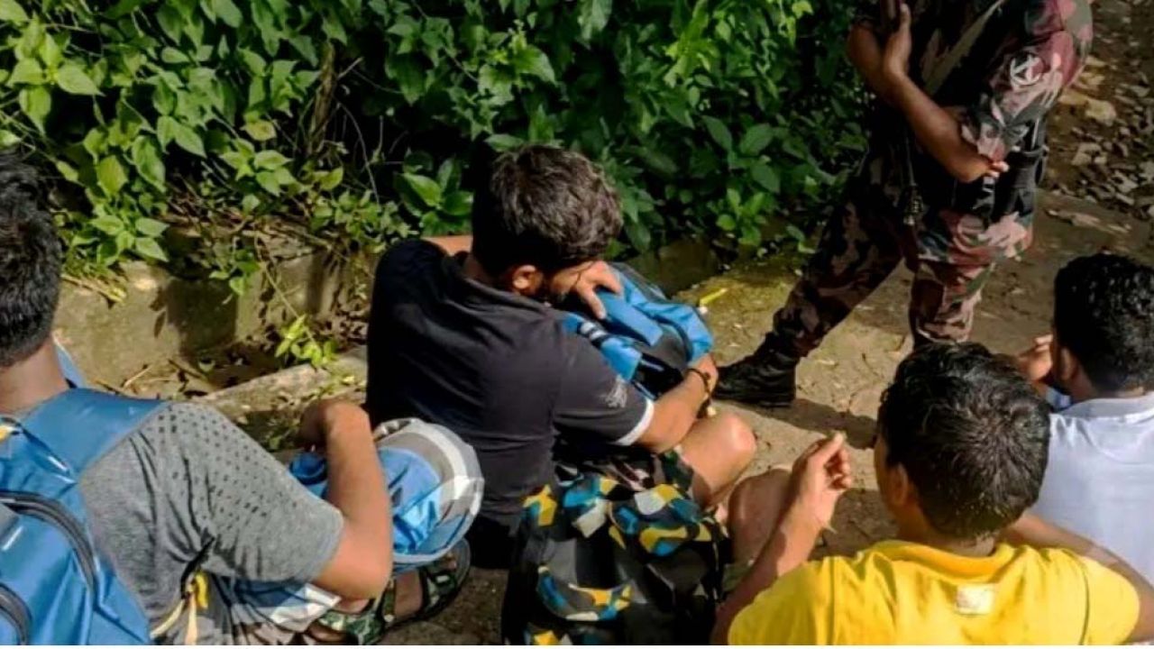 নালিতাবাড়ী সীমান্তে অনুপ্রবেশকারী ১২ বাংলাদেশীকে আটক করেছে বিজিবি