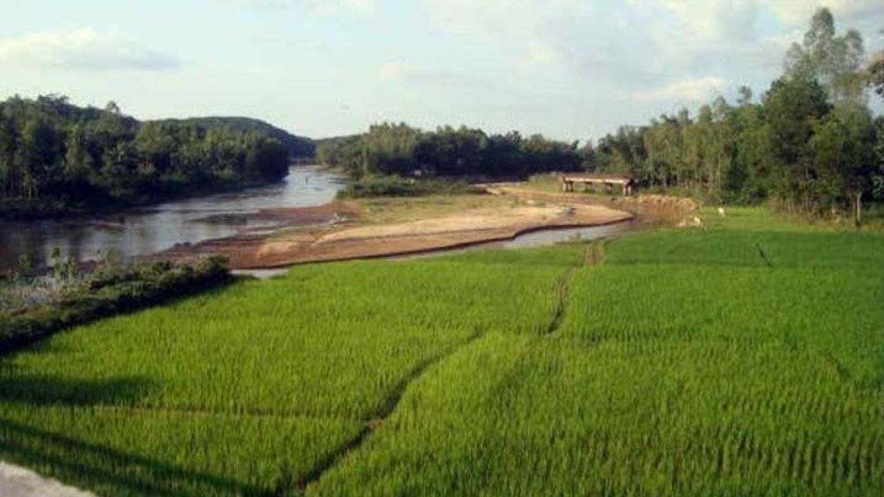 শেরপুরে ন্যায্য মূল্যে সার, স্বস্তিতে কৃষক