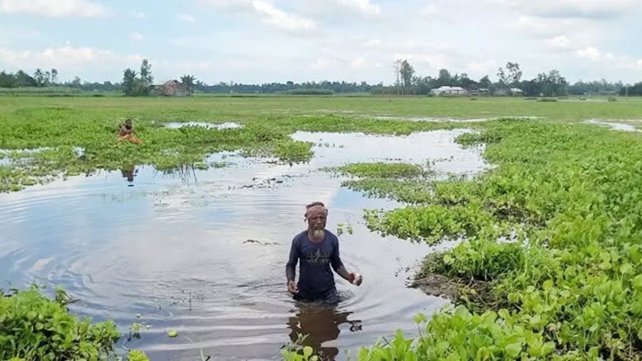 শেরপুরে খাল ভরাট ও দখলে জলাবদ্ধতায় ৫০০ একর কৃষিজমি
