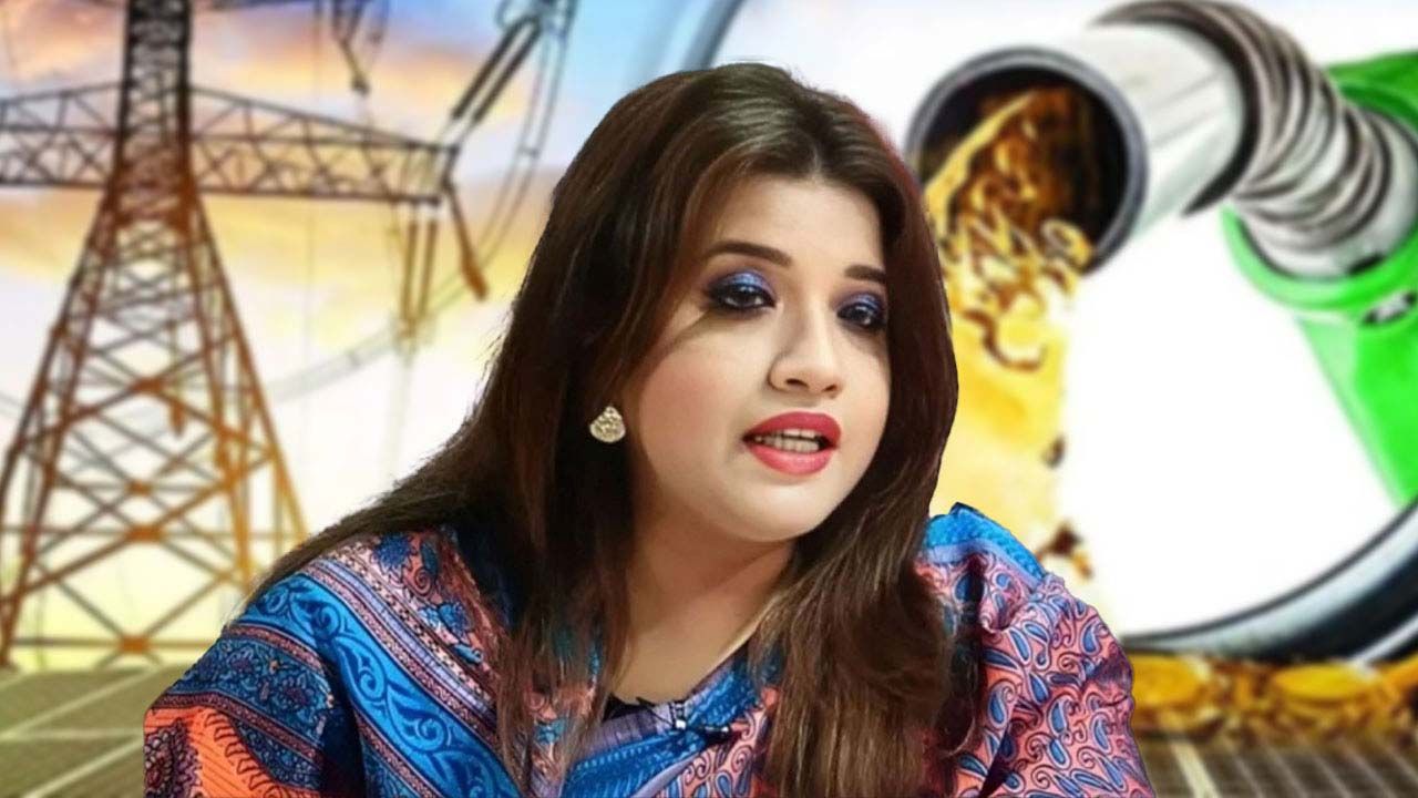 জ্বালানি সংকট মোকাবিলায় বিকল্প উৎস খুঁজছে সরকার : শামা ওবায়েদ