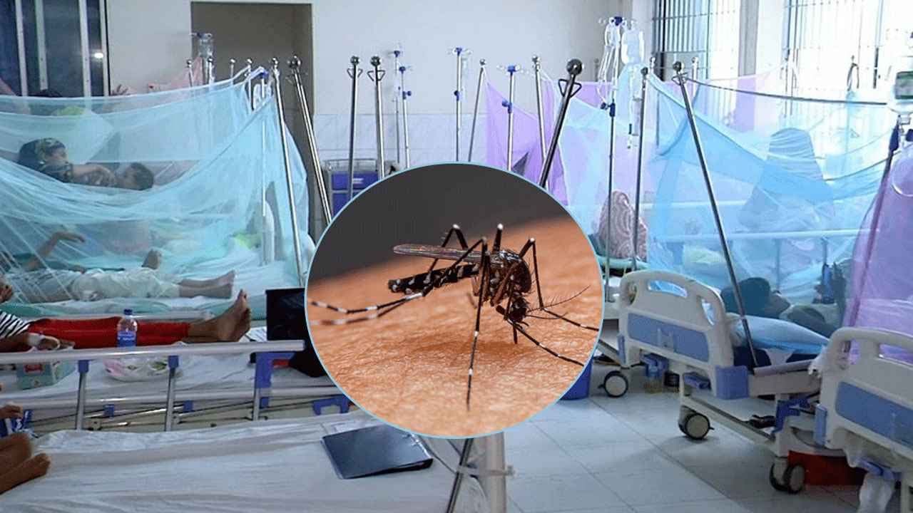 ডেঙ্গুতে আজও ৪ জনের মৃত্যু