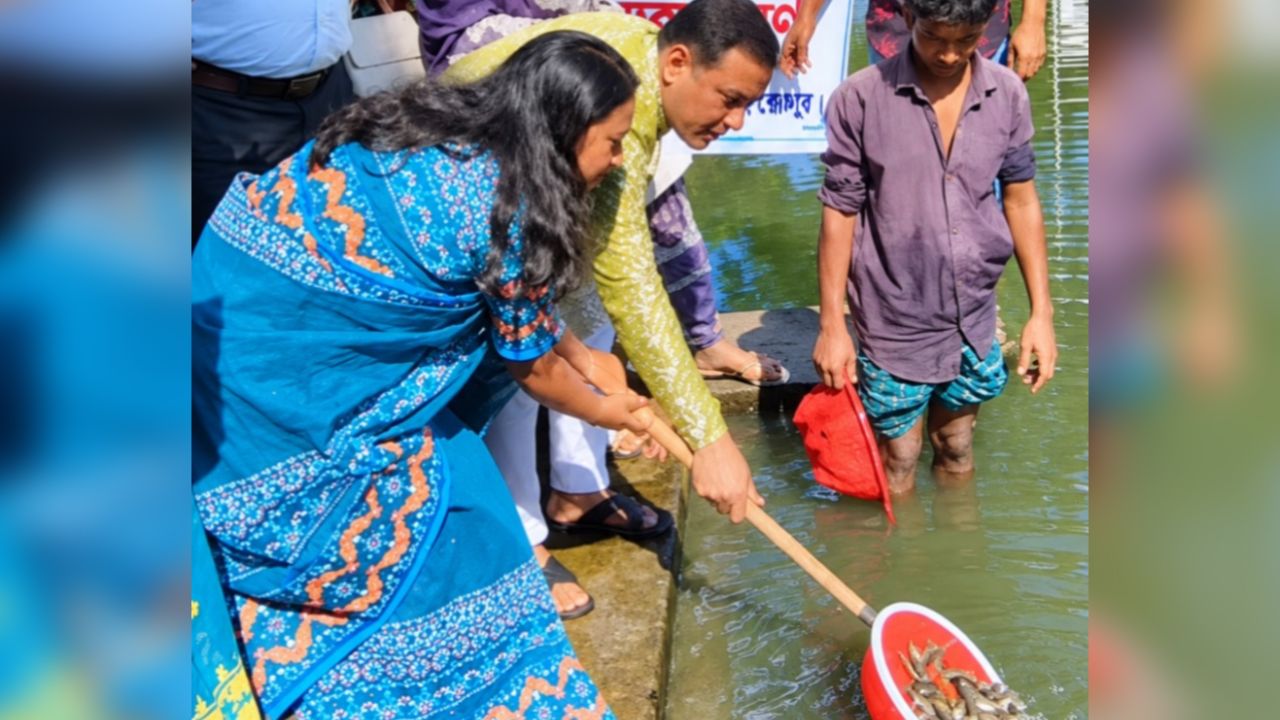 শ্রীবরদী উপজেলা পরিষদ পুকুরে পোনামাছ অবমুক্ত