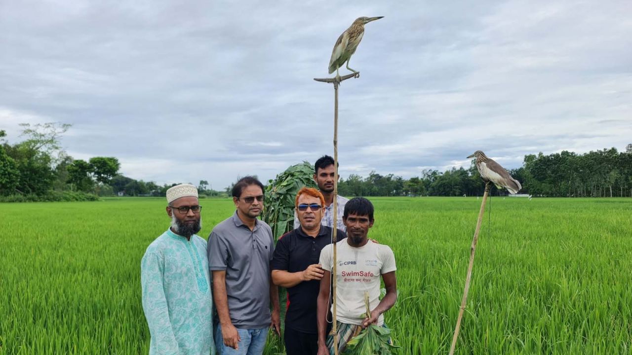 শেরপুরে পাখি শিকার বন্ধে বিশেষ অভিযান