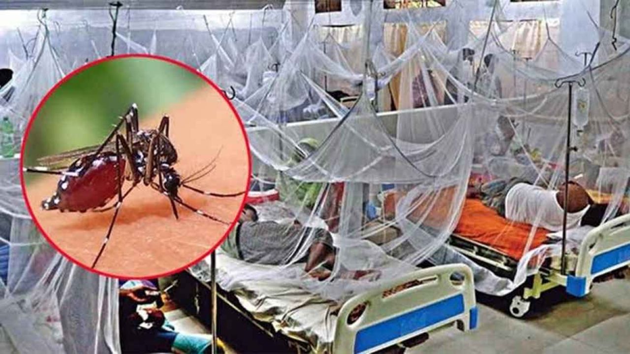 ডেঙ্গুতে একদিনে গেল ৮ প্রাণ, ৫ জনই খুলনার