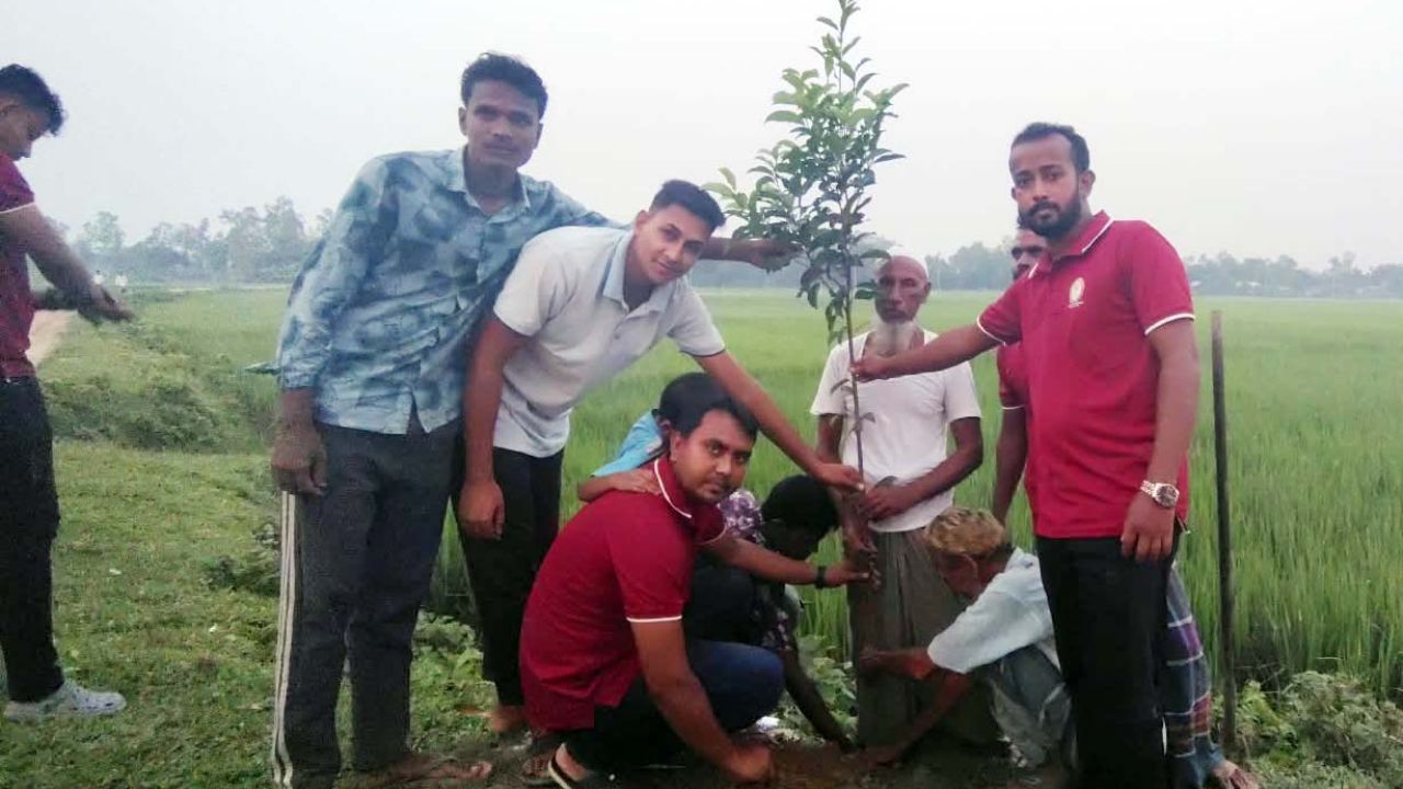 বকশীগঞ্জে বাঁশকান্দা মানব কল্যাণ ট্রাস্টের উদ্যোগে বকুলের চারা রোপণ