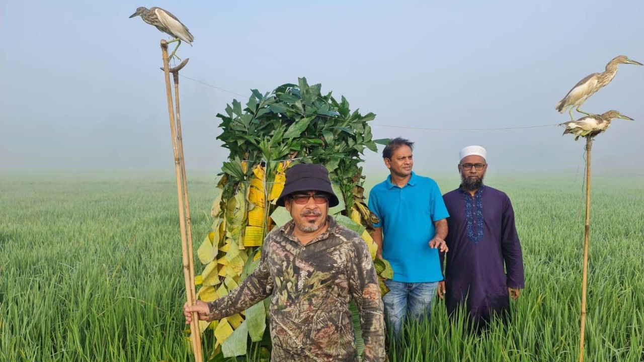 শেরপুর সদর ও নকলা উপজেলায় পাখি শিকার বন্ধে বিশেষ অভিযান